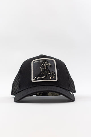 Cap Stallion GoorinBros