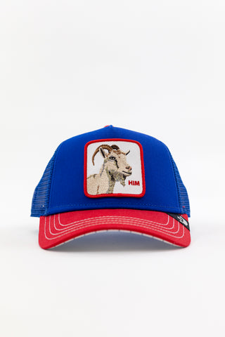 Cap Him GoorinBros