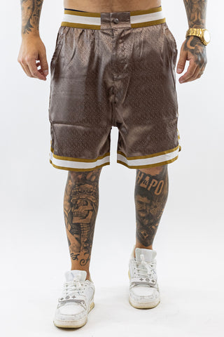 Conjunto Castanho e Dourado Silk Silk
