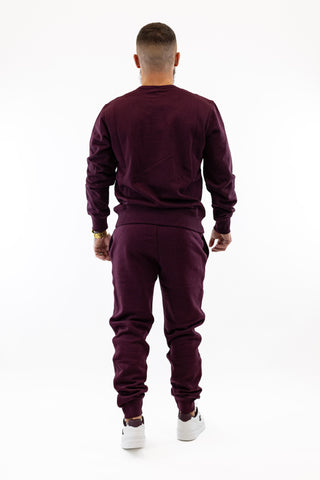 Camisola Bordeaux Champion