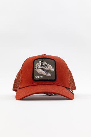 Cap Extinct GoorinBros