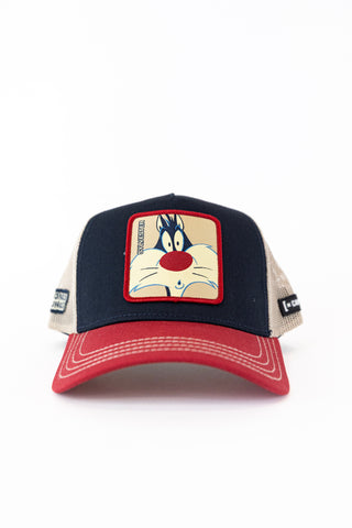 Cap Sylvester Capslab