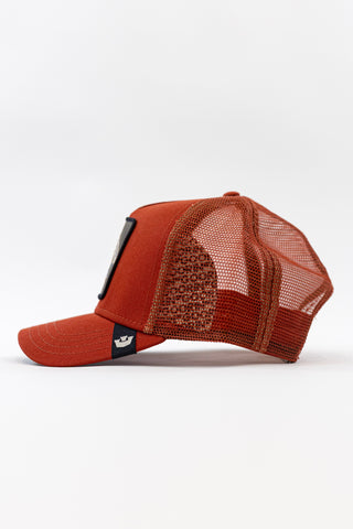 Cap Extinct GoorinBros